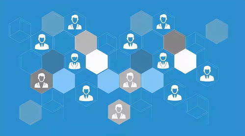 網(wǎng)絡(luò)營(yíng)銷與專業(yè)網(wǎng)絡(luò)推廣 互聯(lián)網(wǎng)銷售的增效之道