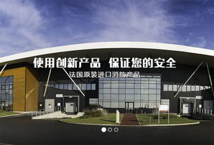 上海建網站公司成功簽約法國代福中國，助力企業數字化升級