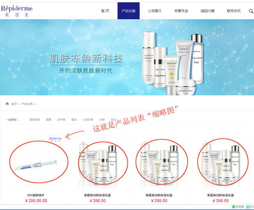 上海派網(wǎng) 一站式網(wǎng)站建設(shè)與SEO優(yōu)化專家，助力企業(yè)在滬騰飛